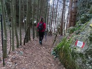 69 Tra filari di abeti